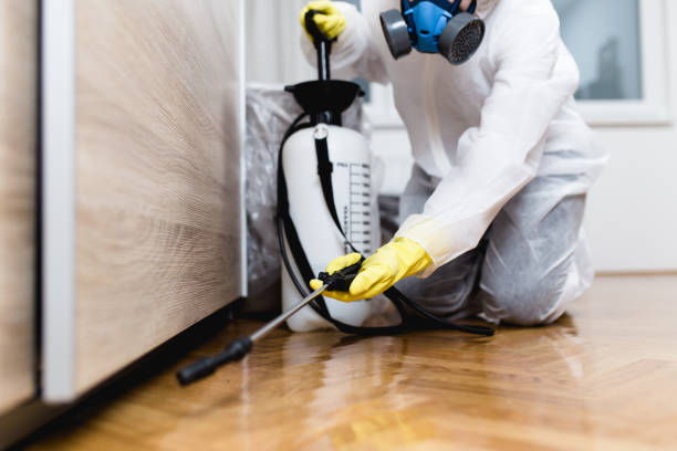 Best Cockroach Control Services  in Tolono, IL