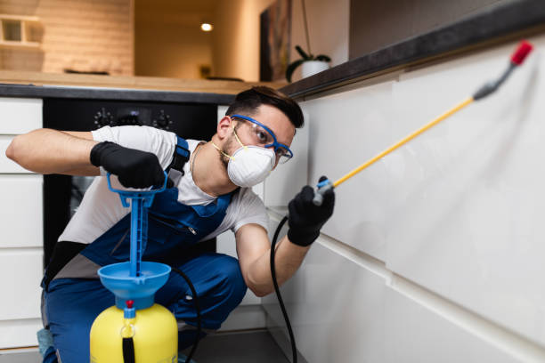 Best Emergency Pest Control  in Tolono, IL