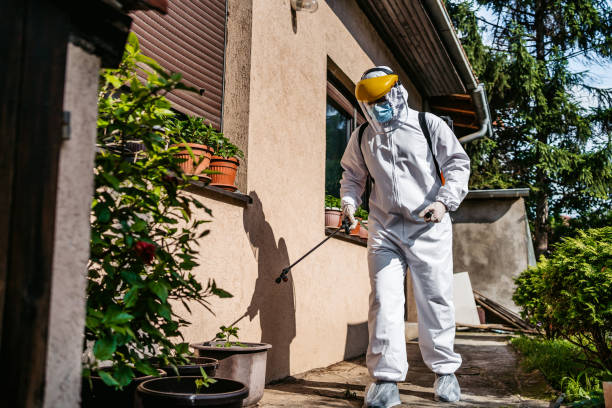 Best Bed Bug Extermination  in Tolono, IL