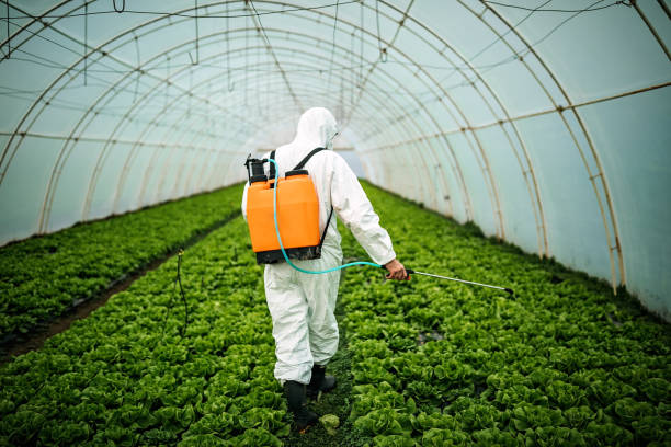 Best Pest Control Near Me  in Tolono, IL