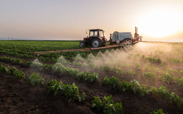 Best Pest Prevention Services  in Tolono, IL