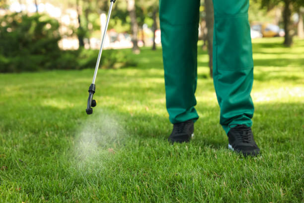 Best Flea Control Services  in Tolono, IL