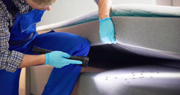 Best Commercial Pest Control Services  in Tolono, IL