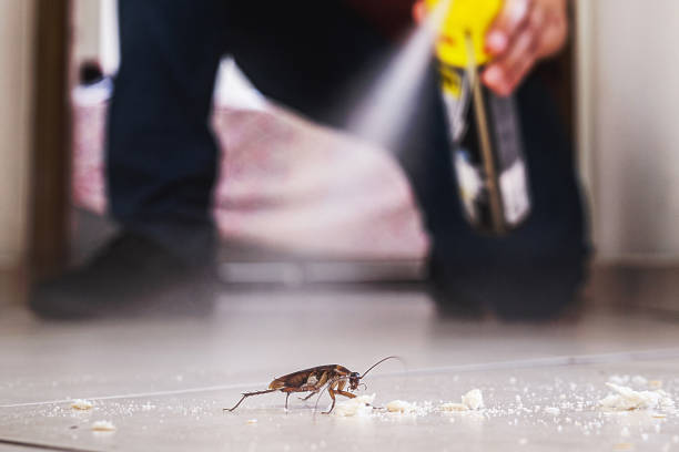 Best Mosquito Control Services  in Tolono, IL