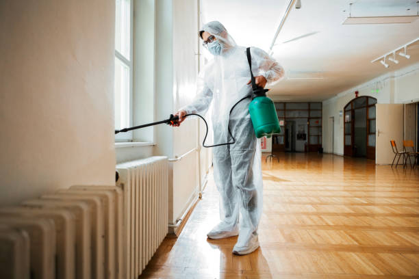 Best Exterminator Services  in Tolono, IL