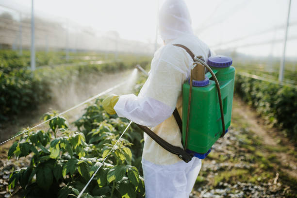 Best Local Pest Control Services  in Tolono, IL